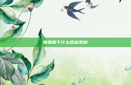 辣条属于什么商标类别