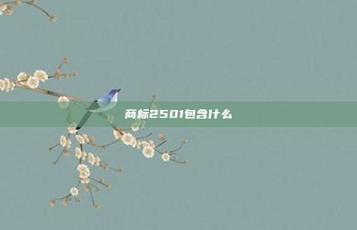 商标2501包含什么