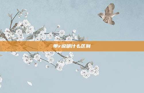 带r说明什么区别