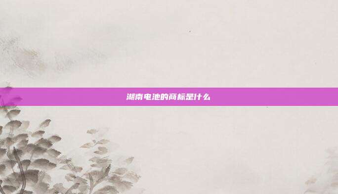 湖南电池的商标是什么
