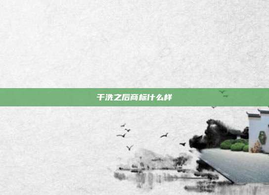 干洗之后商标什么样