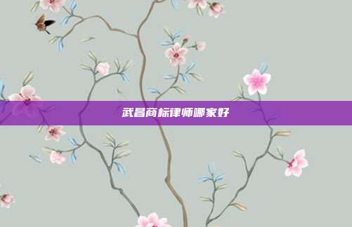 武昌商标律师哪家好