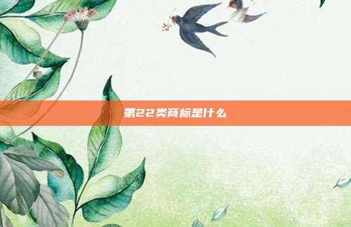 第22类商标是什么