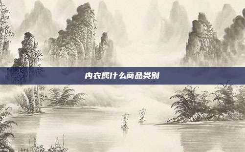 内衣属什么商品类别