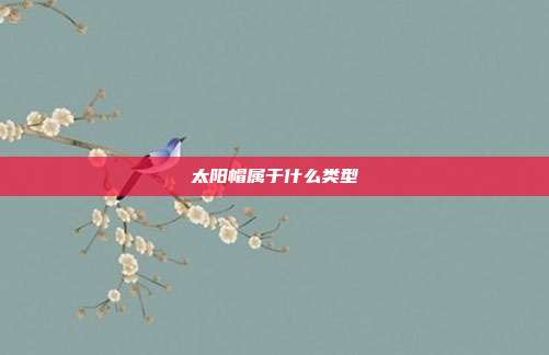 太阳帽属于什么类型