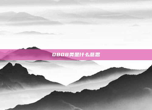 0808类是什么意思