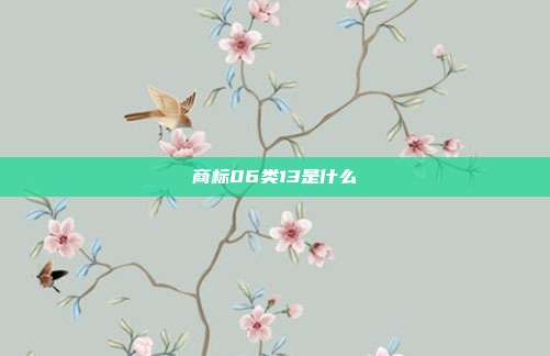 商标06类13是什么