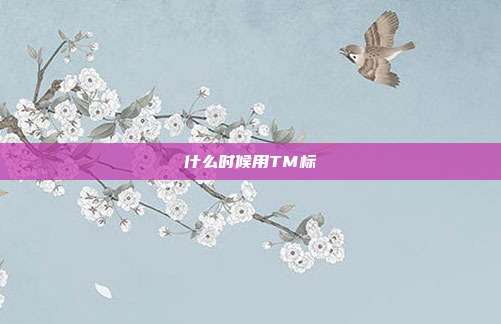 什么时候用TM标