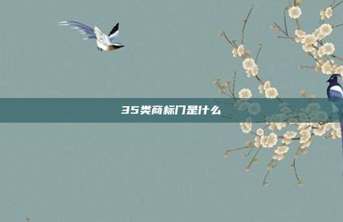 35类商标门是什么