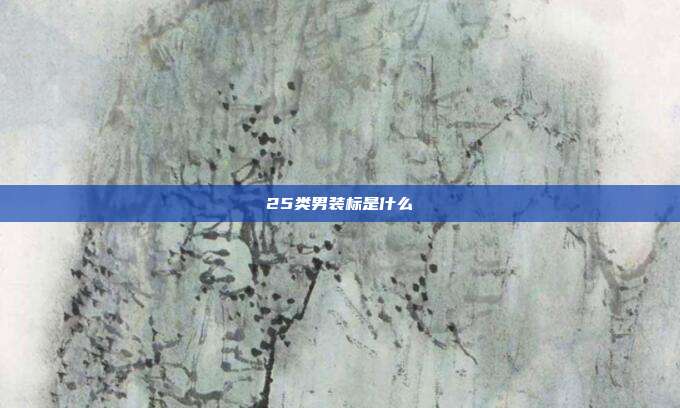 25类男装标是什么