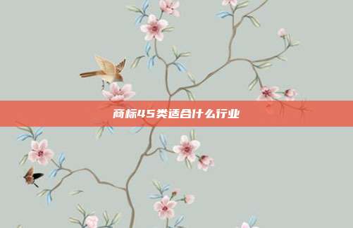 商标45类适合什么行业