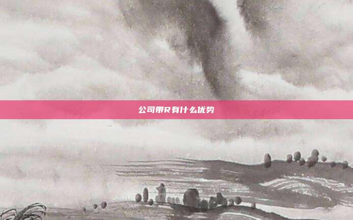 公司带R有什么优势