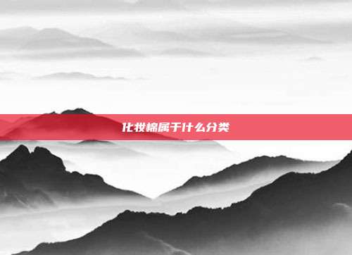 化妆棉属于什么分类