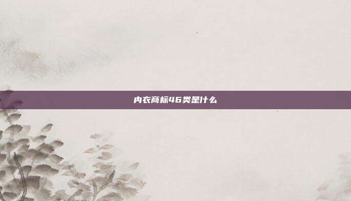 内衣商标46类是什么