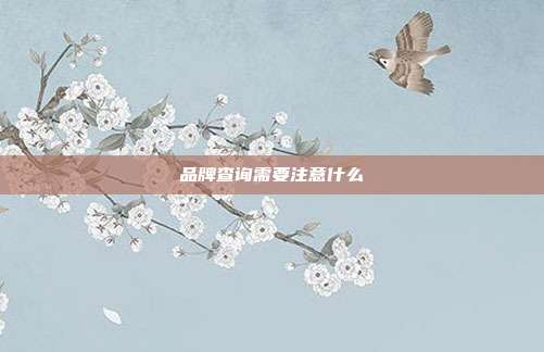 品牌查询需要注意什么