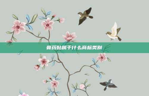 膏药贴属于什么商标类别