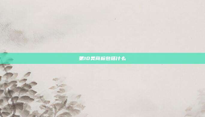 第10类商标包括什么