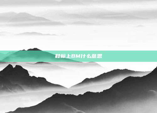 鞋标上BM什么意思