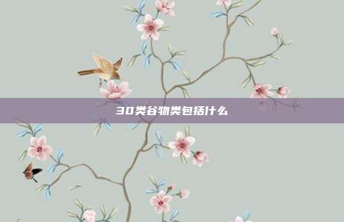 30类谷物类包括什么