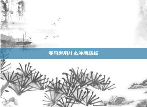 亚马逊用什么注册商标