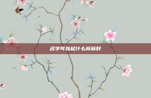 名字可以起什么商标好