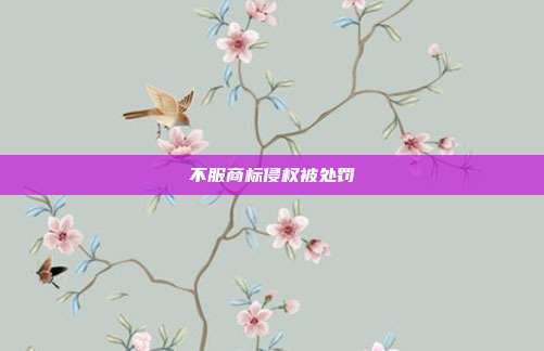 不服商标侵权被处罚