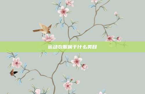 运动衣服属于什么类目