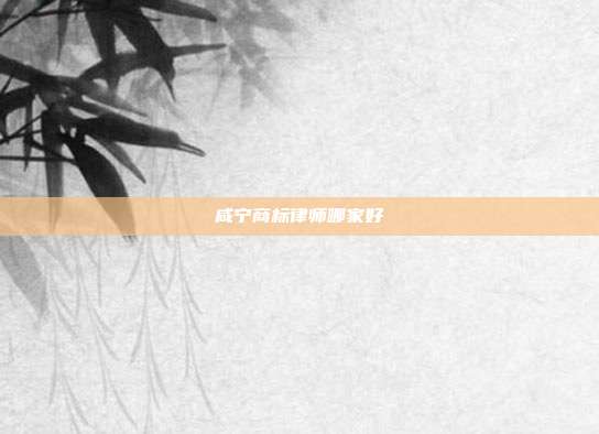 咸宁商标律师哪家好