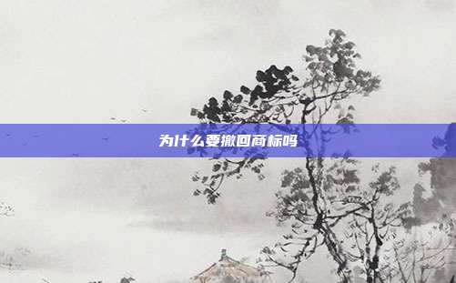为什么要撤回商标吗