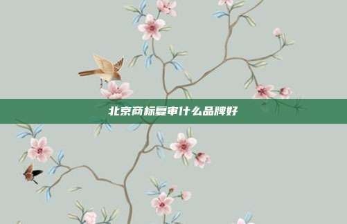 北京商标复审什么品牌好