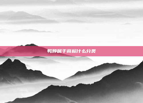 鸭脖属于商标什么分类
