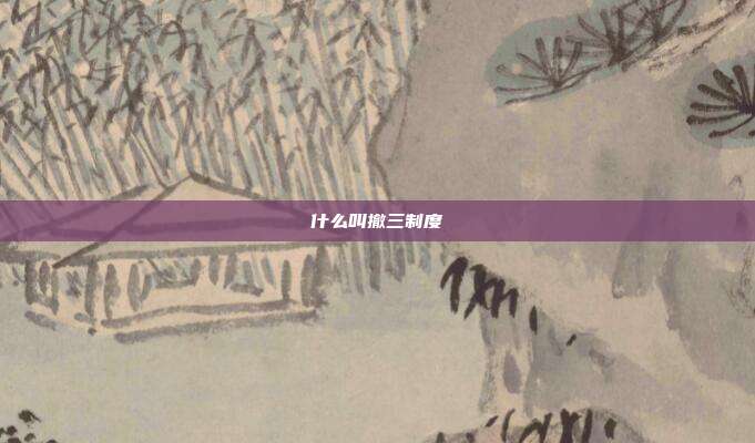 什么叫撤三制度