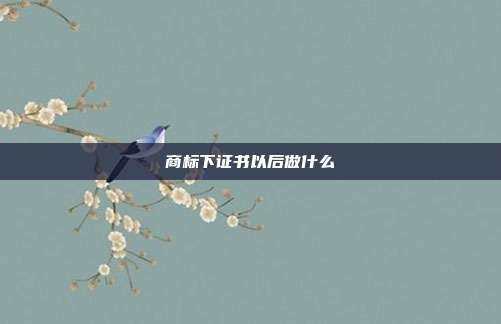 商标下证书以后做什么
