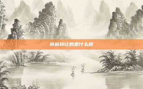 商标转让的是什么权