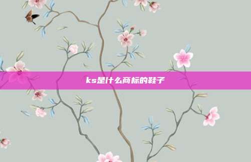 ks是什么商标的鞋子