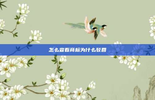 怎么查看商标为什么驳回