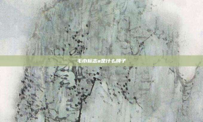 毛巾标志a是什么牌子