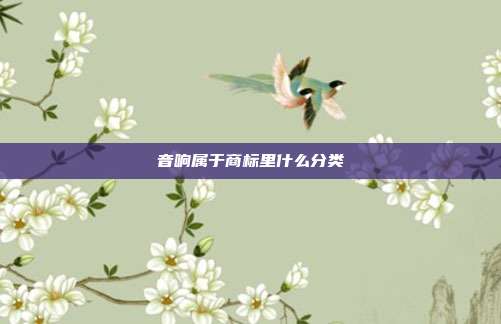 音响属于商标里什么分类