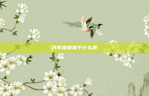 汽车座垫属于什么类