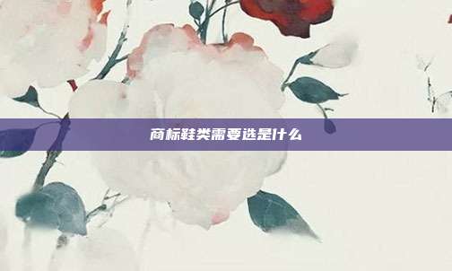 商标鞋类需要选是什么