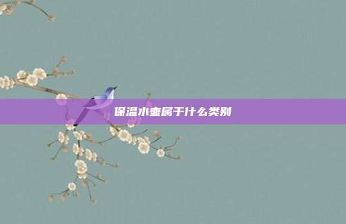 保温水壶属于什么类别