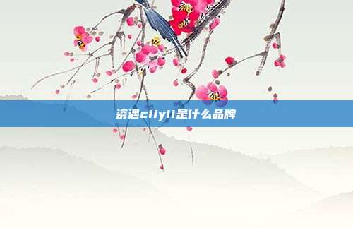 瓷遇ciiyii是什么品牌