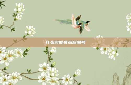 什么时候有商标编号