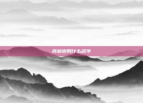 商标也叫什么名字