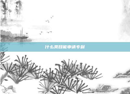 什么类目能申请专利