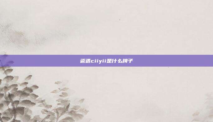 瓷遇ciiyii是什么牌子