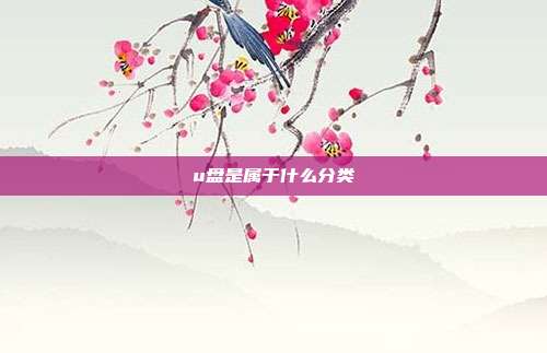 u盘是属于什么分类