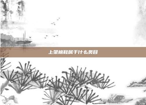 上架棉鞋属于什么类目