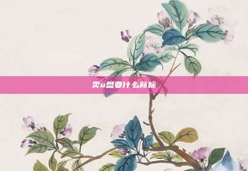 卖u盘要什么商标