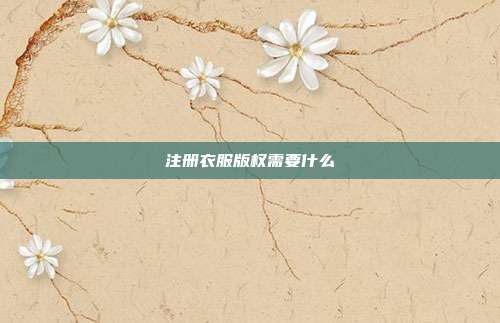 注册衣服版权需要什么